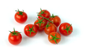 Choroby sazenic rajčat